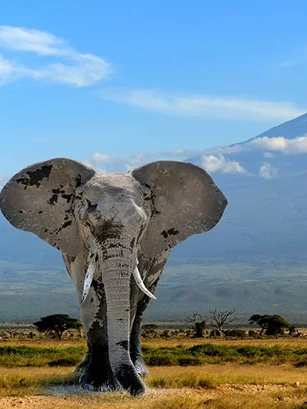 tanzania