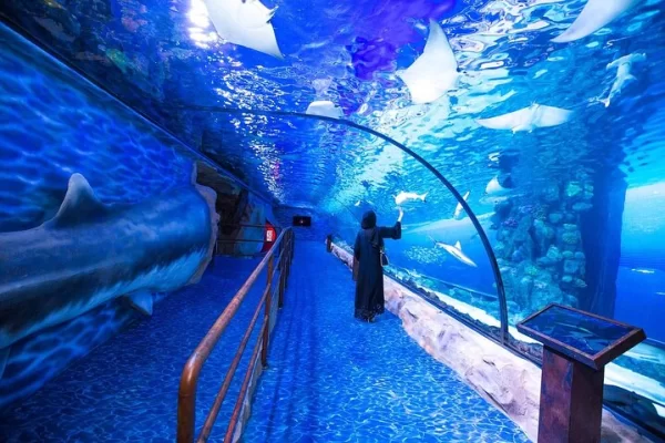 dubai-aquarium-and-underwater-zoo