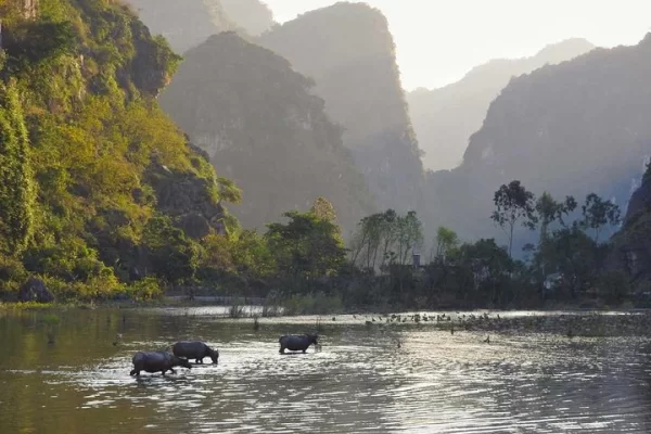 full-day-trip-to-discover-ninh-binh-hoa-lu-tam-coc-from-ha