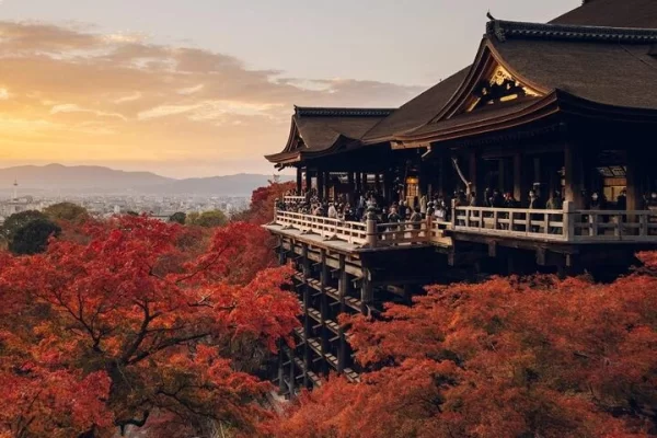 fushimi-inari-shrine-and-nara-park-day-tour-from-osaka-and-k