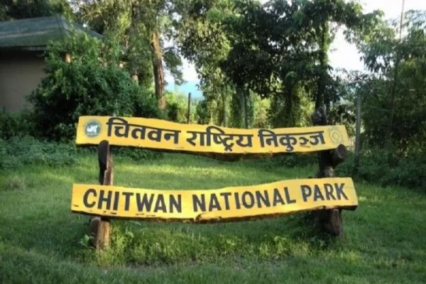 half-day-sharing-jeep-safari-in-chitwan-national-park-thumb