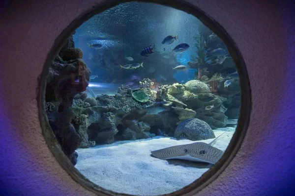 malaysia-aquaria-klcc-entry-ticket-thumb