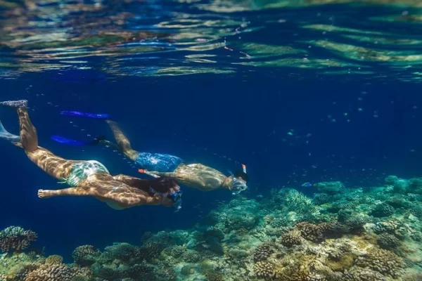 night-snorkeling-experience-in-dhiffushi-island-thumb