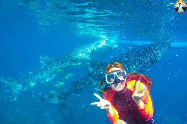 oslob-whale-shark-swimming-and-kawasan-falls-swimming-tour-t