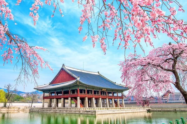 private-half-day-seoul-tour-gyeongbokgung-palace-and-blue-ho