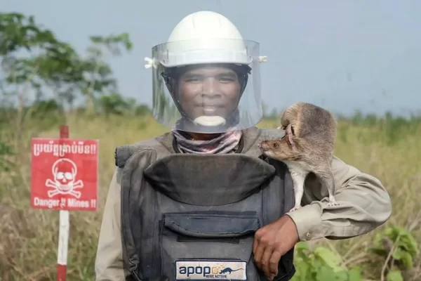 siem-reap-village-tour-with-herorats-lotus-silk-farm-thumb