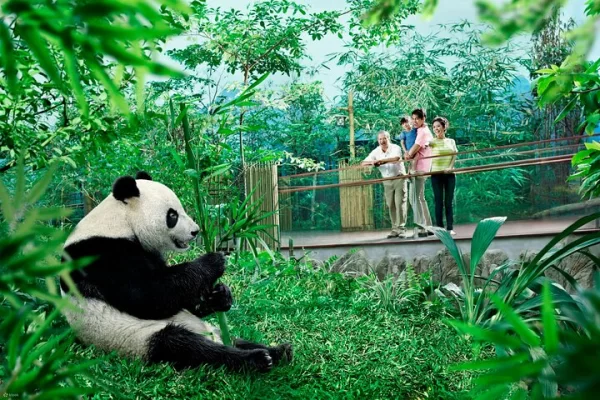 singapore-zoo-night-safari