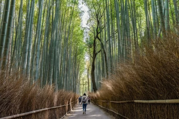 t1-kyoto-arashiyama-zen-nature-riverside-walking-tour-thumb