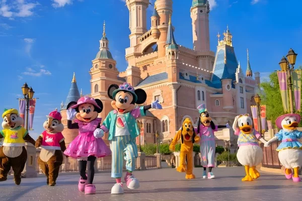 tokyo-disneyland-1-day-pass-with-private-hotel-pick-up-drop